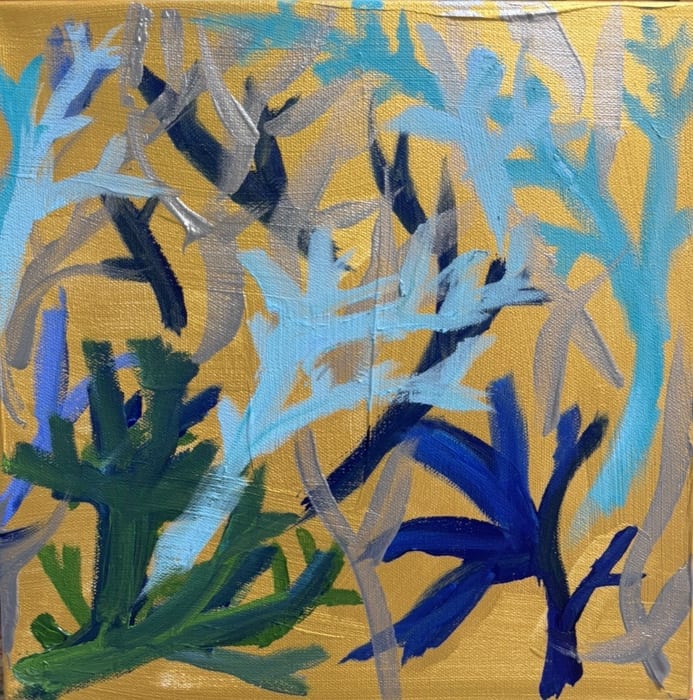 Coral Dreams by Carol Calicchio